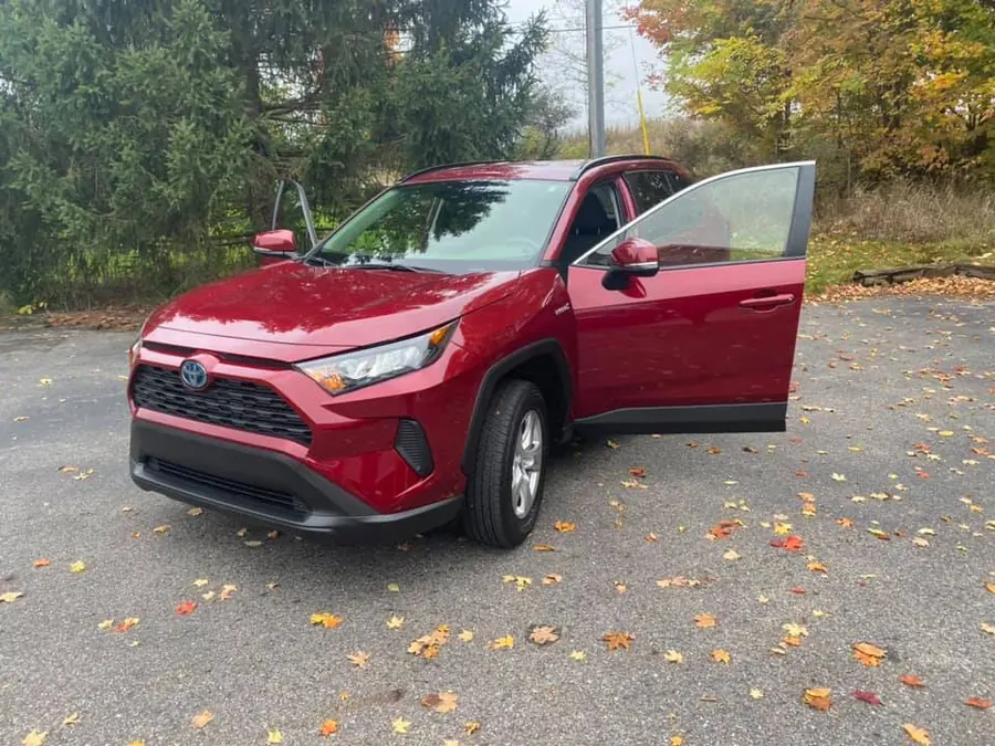 Red Toyota RAV4 parked on autumn leaves